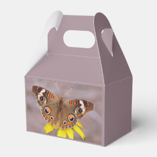 Schöner Schmetterling auf der Gelben Blume Geschenkschachtel