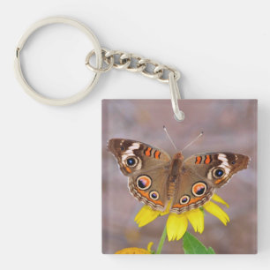 Schöner Schmetterling auf der Gelben Blume Schlüsselanhänger