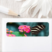 Schöner Schmetterling auf rosa Blume (Insitu)