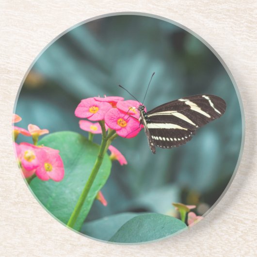 Schöner Schmetterling auf rosa Blume Getränkeuntersetzer (Vorne)