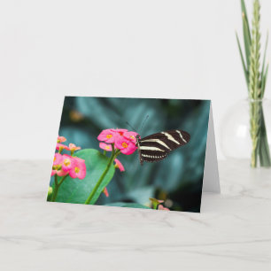 Schöner Schmetterling auf rosa Blume Karte