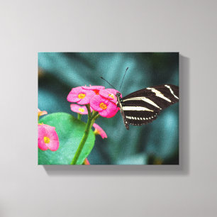 Schöner Schmetterling auf rosa Blume Leinwanddruck