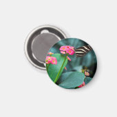 Schöner Schmetterling auf rosa Blume Magnet (Vorderseite/Rückseite)