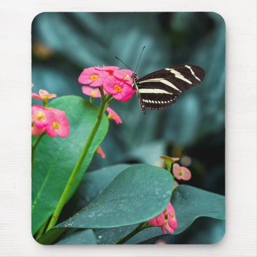 Schöner Schmetterling auf rosa Blume Mousepad (Vorne)
