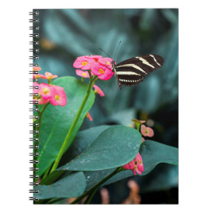 Schöner Schmetterling auf rosa Blume Notizblock