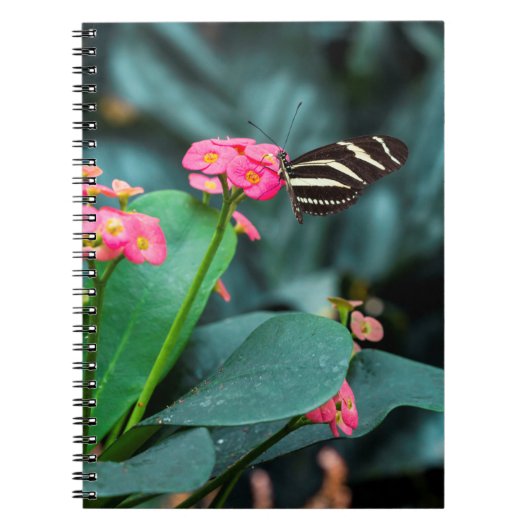 Schöner Schmetterling auf rosa Blume Notizblock (Vorderseite)