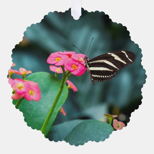 Schöner Schmetterling auf rosa Blume Ornament Karte (Vorderseite)