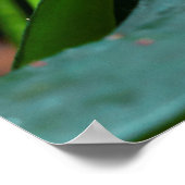 Schöner Schmetterling auf rosa Blume Poster (Ecke)
