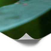 Schöner Schmetterling auf rosa Blume Poster (Ecke)