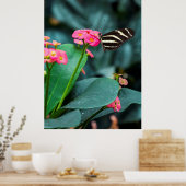 Schöner Schmetterling auf rosa Blume Poster (Küche)