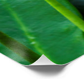 Schöner Schmetterling auf rosa Blume Poster (Ecke)