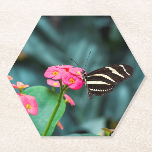 Schöner Schmetterling auf rosa Blume Untersetzer (Vorderseite)