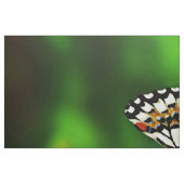 Schöner Schmetterling auf roten Blume Stoff (Fat Quarter (45,7 x 55,9 cm))