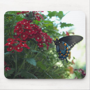 Schöner Schmetterling Mousepad