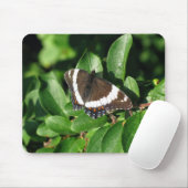 Schöner Schmetterling Mousepad (Mit Mouse)