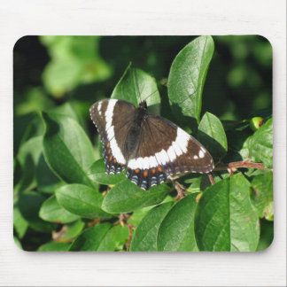 Schöner Schmetterling Mousepad