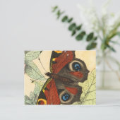 Schöner Schmetterling Postkarte (Stehend Vorderseite)