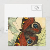 Schöner Schmetterling Postkarte (Vorne/Hinten)