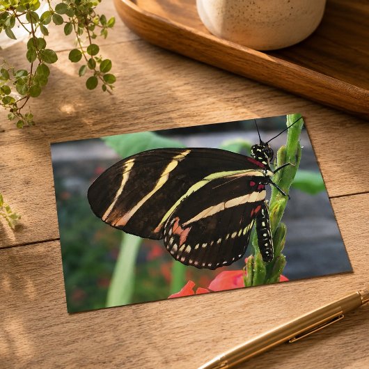 Schöner Schmetterling Postkarte