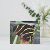 Schöner Schmetterling Postkarte (Stehend Vorderseite)