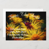 Schöner Schmetterling rettet die Daten Save The Date (Vorne/Hinten)