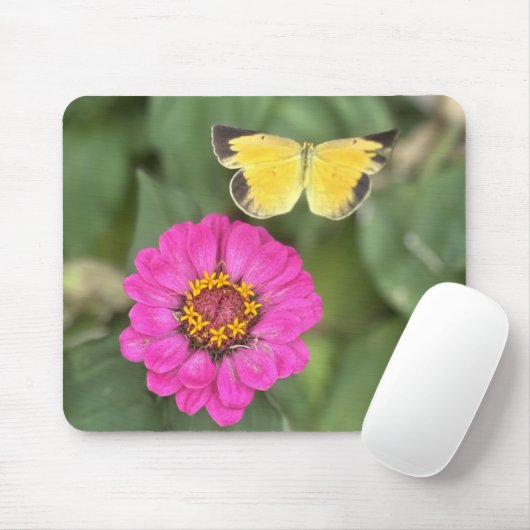 Schöner Schmetterling über Zinnia Mousepad (Mit Mouse)