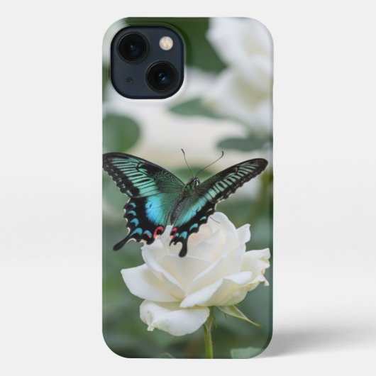Schöner Schmetterling und weiße Rosen iPhone Hülle (Rückseite)