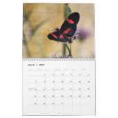 Schöner Schmetterlings-Kalender Kalender (Mär 2027)
