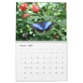 Schöner Schmetterlings-Kalender Kalender (Jan 2027)