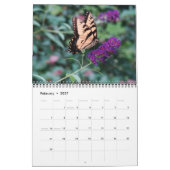 Schöner Schmetterlingskalender Kalender (Feb 2027)