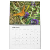 Schöner Schmetterlingskalender Kalender (Jan 2027)