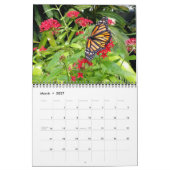 Schöner Schmetterlingskalender Kalender (Mär 2027)