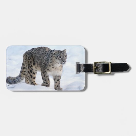 Schöner Schneeleopard Gepäckanhänger (Vorderseite horizontal)