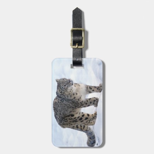 Schöner Schneeleopard Gepäckanhänger (Vorderseite vertikal)