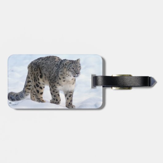 Schöner Schneeleopard Gepäckanhänger (Rückseite horizontal)