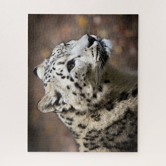 Schöner Schneeleopard, Jigsaw Puzzle (Vertikal)