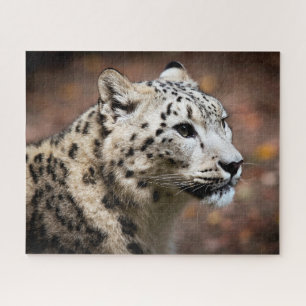 Schöner Schneeleopard, Jigsaw Puzzle