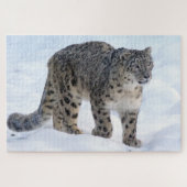 Schöner Schneeleopard Puzzle (Horizontal)