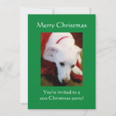 Schöner, schneeweißer Welpenhund Grün Weihnachten Einladung (Vorderseite)