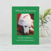 Schöner, schneeweißer Welpenhund Grün Weihnachten Einladung (Stehend Vorderseite)