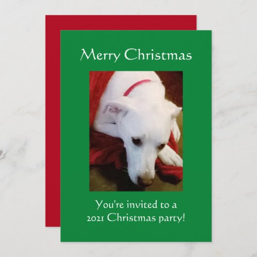 Schöner, schneeweißer Welpenhund Grün Weihnachten Einladung (Vorne/Hinten)