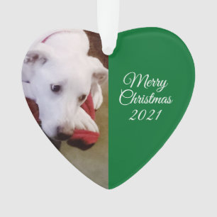 Schöner, schneeweißer Welpenhund Grün Weihnachten Ornament