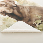 Schöner Schokolade-Labrador Sherpadecke (3/4)