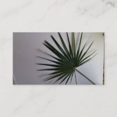 Schöner Schuss eines Fanpalmblattes gegen weißes Visitenkarte (Rückseite)
