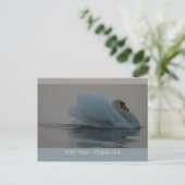 Schöner Schwan im Abend Licht CC0755 Postkarte (Stehend Vorderseite)
