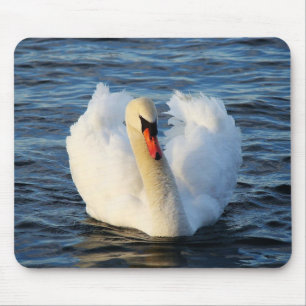 Schöner Schwan im Wasser Mousepad