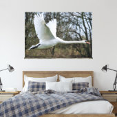 Schöner Schwan in fliegerummantelte Canvas Leinwanddruck (Insitu (Schlafzimmer))