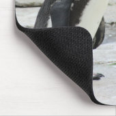 Schöner Schwarz-Weiß-Pinguin 2024 Kalender Mousepad (Ecke)