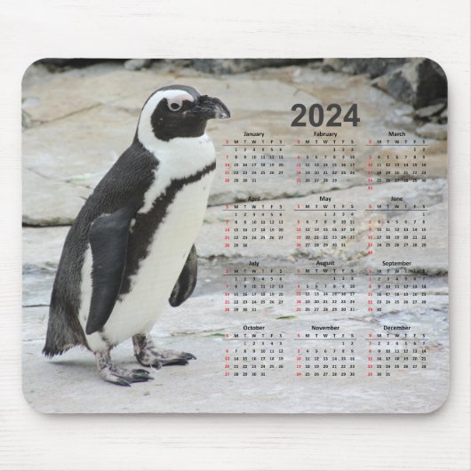 Schöner Schwarz-Weiß-Pinguin 2024 Kalender Mousepad (Vorne)
