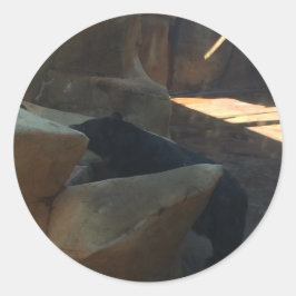 Schöner Schwarzbär Klettern Runder Aufkleber
